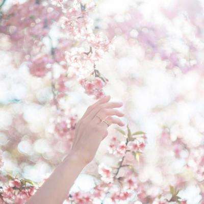 ManBetX客户端登录手机app下载